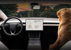 Tesla mode chien bug