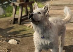 baldurs gate 3 gratouille