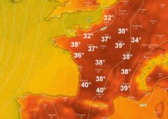 canicule 2024