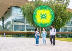 Université limewire piratage(1)