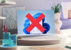 Windows 11 Édition Gouvernementale fake